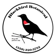 Blackbird Botanical / Fresno, California / Delivery