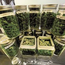 MMJ Express – Nevada, Las Vegas Delivery